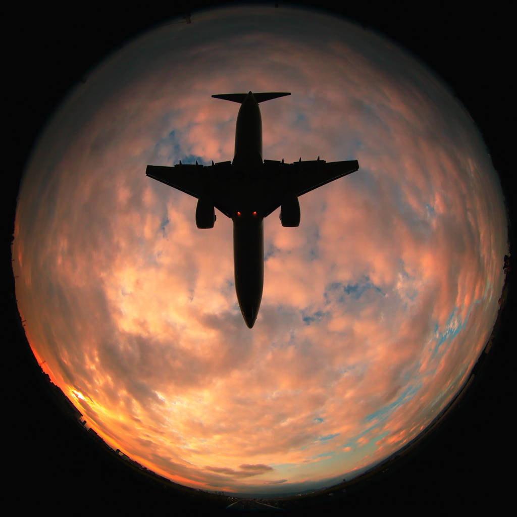 Sunset flight