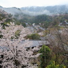 本堂から朝の風景を眺める
