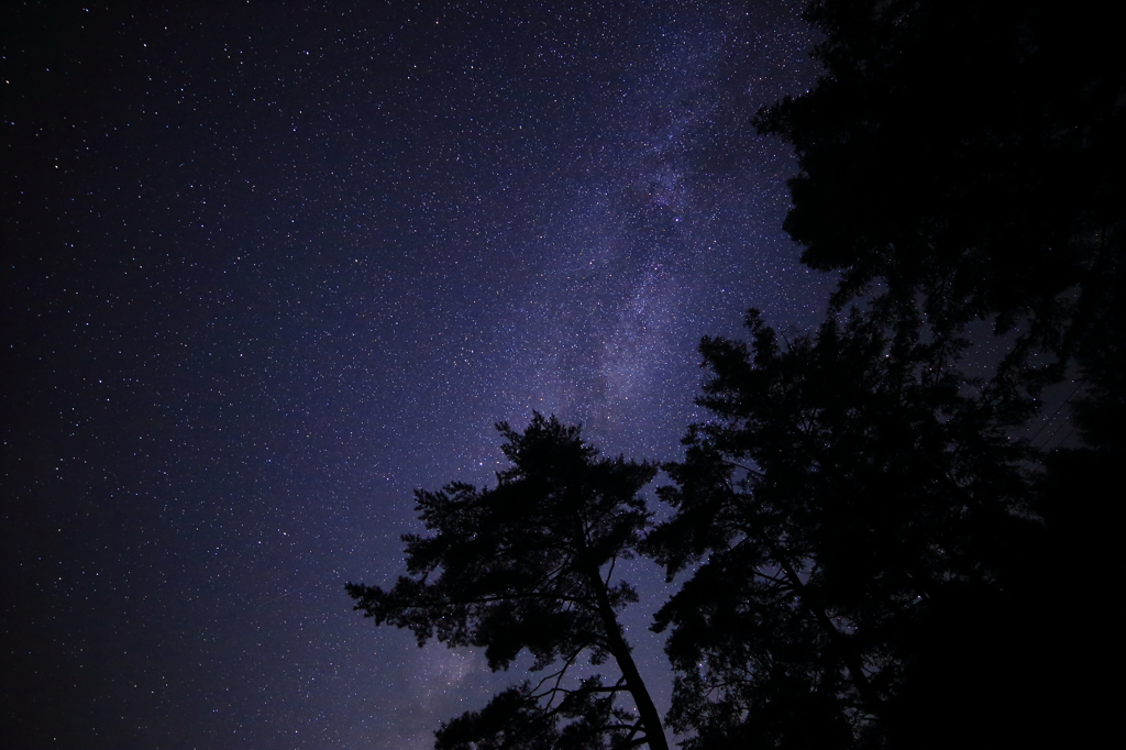 見上げると数え切れないほどの星が輝いていた