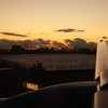 翼の向こうの夕焼け空