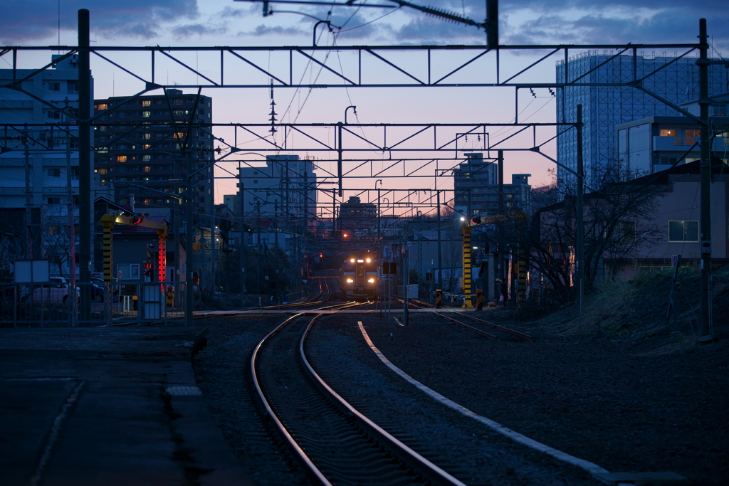 小樽から電車がやってきました