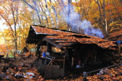 秋の炭焼小屋