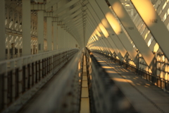 夕陽が差し込む橋梁