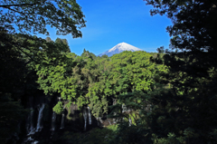 富士を頂く白糸の滝