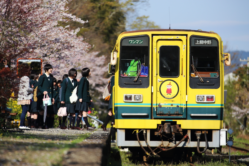 ピカピカ高校生