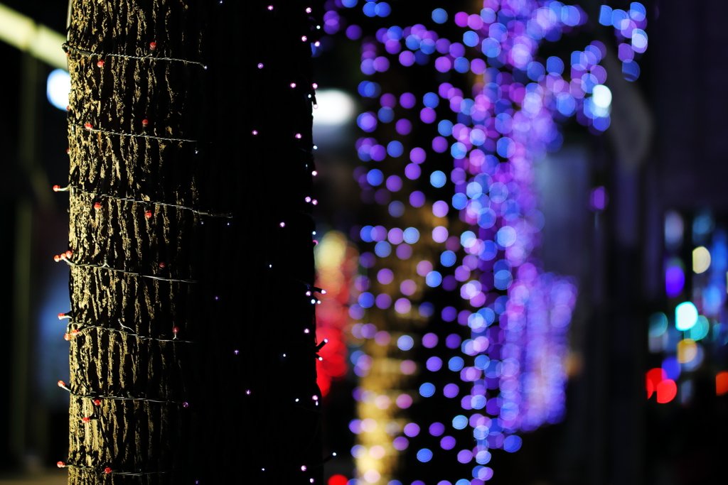 東京ミッドタウンの立木にブルーのイルミが輝く