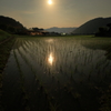 月夜の水田輝く