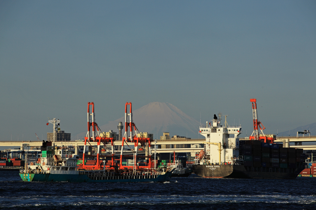 横浜港の朝