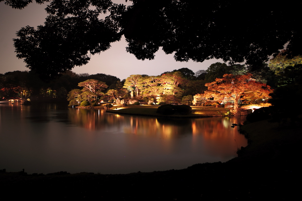 六義園紅葉ライトアップの夜