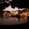 六義園紅葉ライトアップの夜