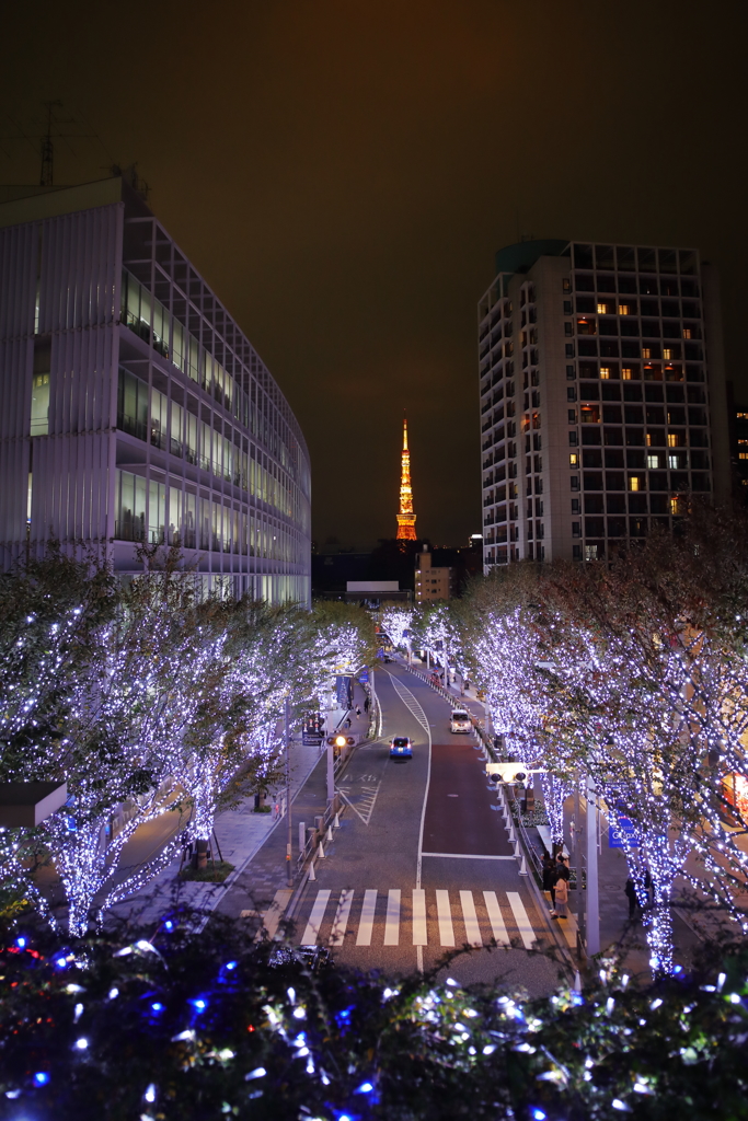 けやき坂のイルミネーションと東京タワー