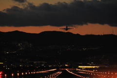 夕暮れの空に向かって飛び立つ