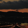 夕暮れの空に向かって飛び立つ