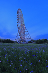 Big Ferris wheel in blue