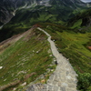 頂への路