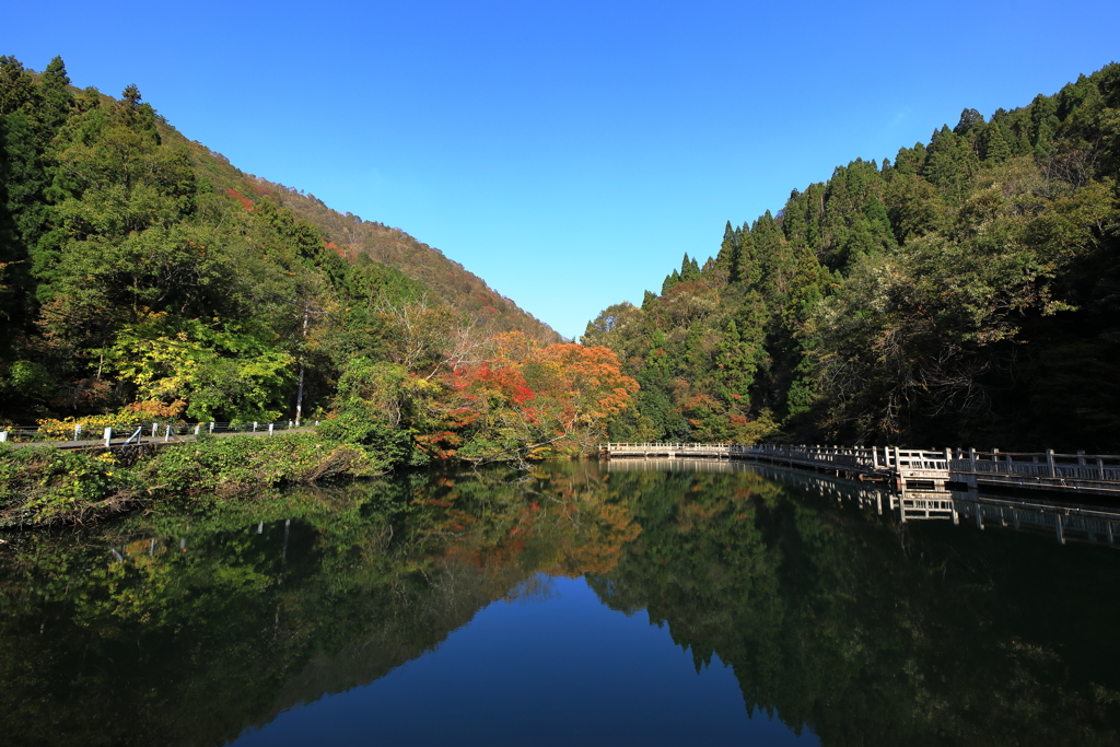 滋賀高島のもみじ池