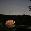 山深き諸木野の里に桜行燈が灯る夜