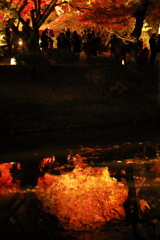 平等院の池に写る燃えるような紅葉