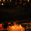 平等院の池に写る燃えるような紅葉