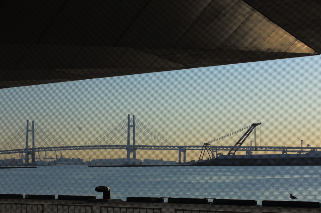 Jonathan and Yokohama Bay Bridge