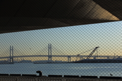 Jonathan and Yokohama Bay Bridge