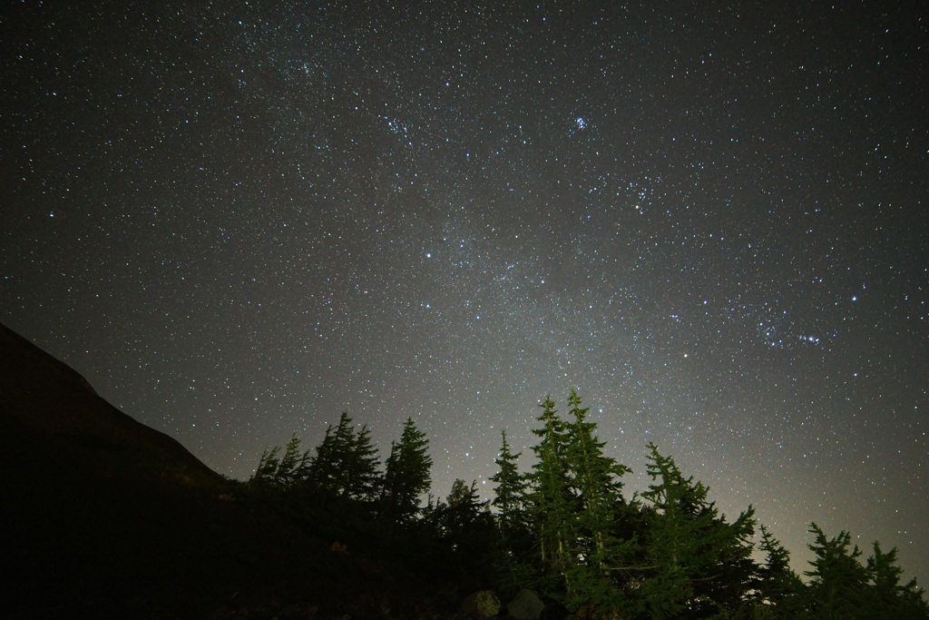 森林限界の先の星たち