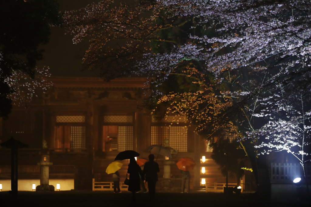 雨もまた楽し