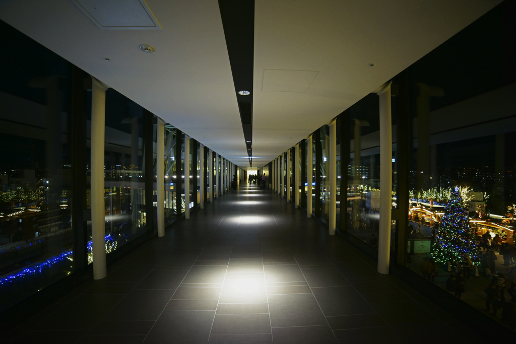 To the Sky tree