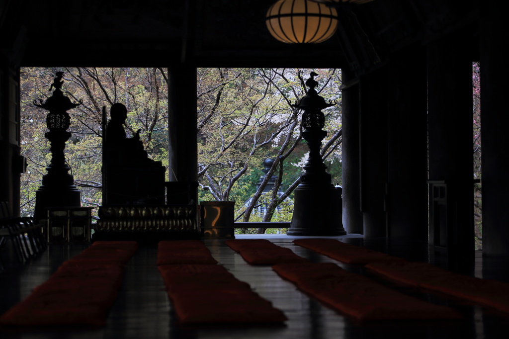 本堂から見る春の風景