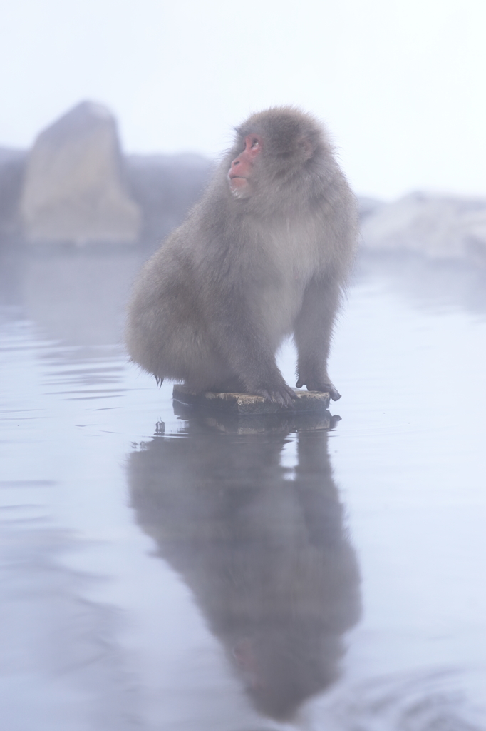 ひとっ風呂、いっとく？
