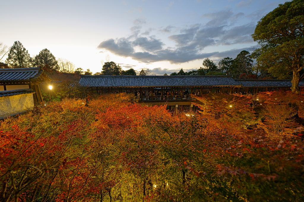 紅葉の海に架かる通天橋