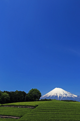 富士は晴天、空高し