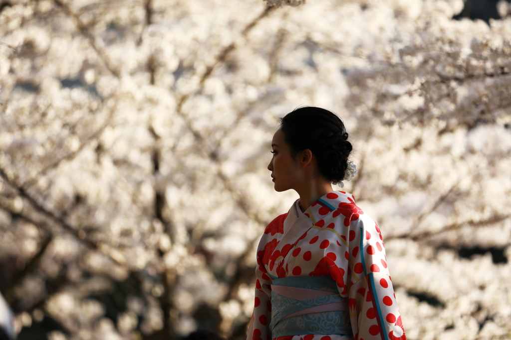 日本の春の想い出に