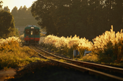 秋風の真岡鉄道沿線風景