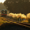 秋風の真岡鉄道沿線風景