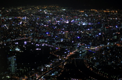 大阪城が小さく見える