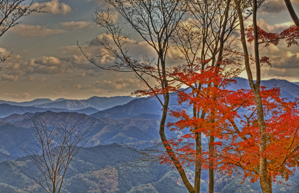 紅葉と曽爾の山々