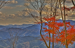 紅葉と曽爾の山々
