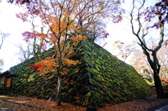 本丸の苔生した石垣と紅葉