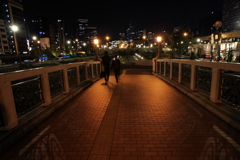 中之島公園ばらぞの橋を渡る人影