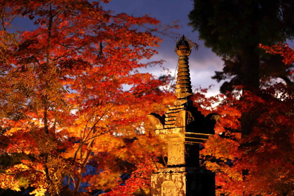 永源寺紅葉ライトアップ～まだ明るさの残る空