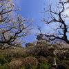 中山寺の遊歩道にて