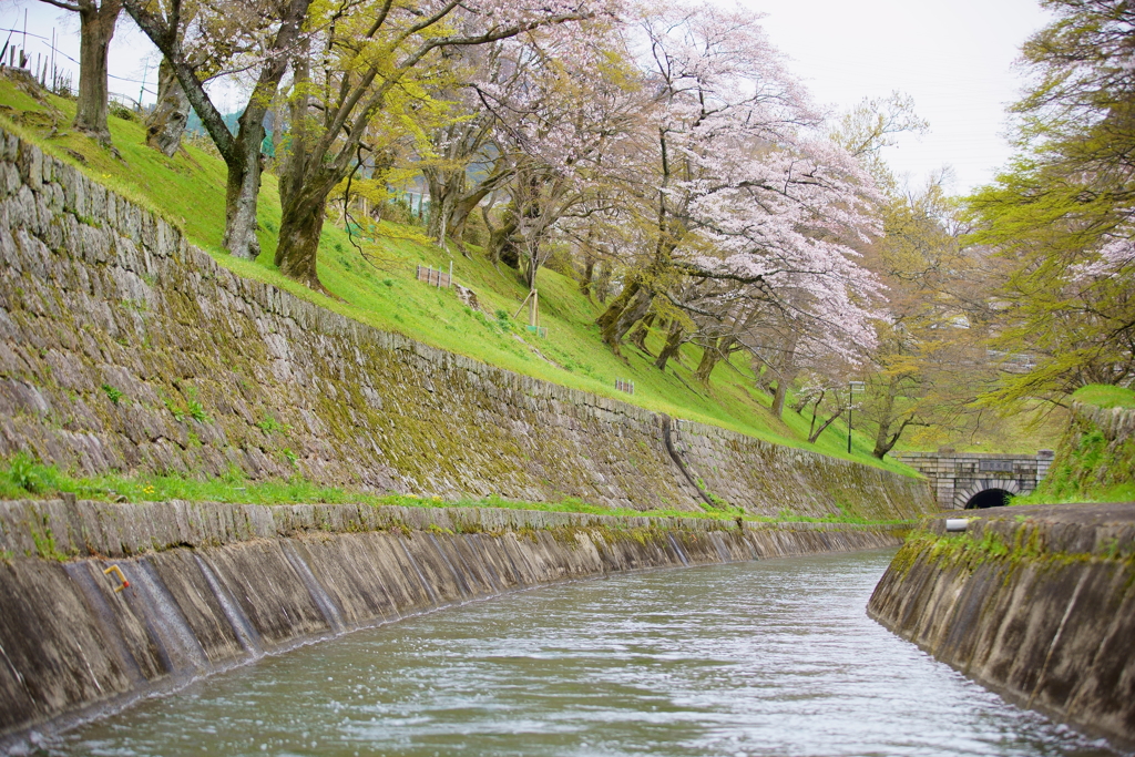 疏水の流れに身を委ねて