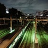 Green light