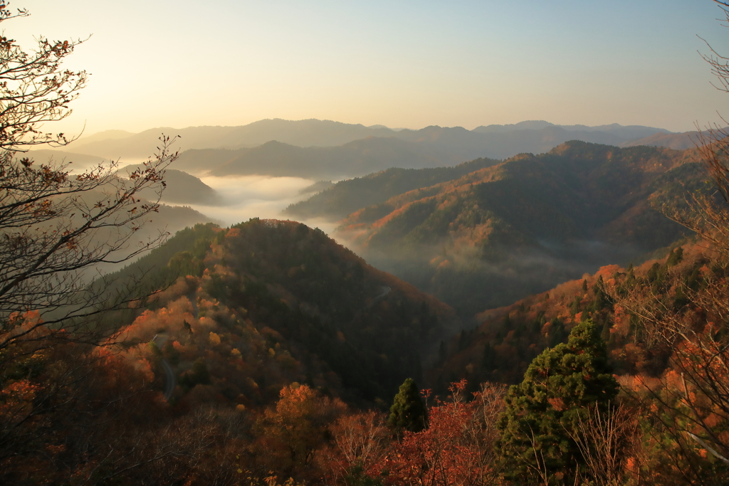 おにゅう峠の朝～雲海と紅葉の織り成す風景