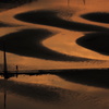 雲を映す干潟と漆黒の砂紋
