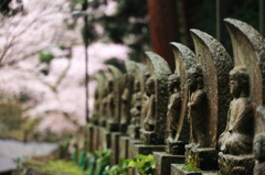 室生寺に桜咲くころ