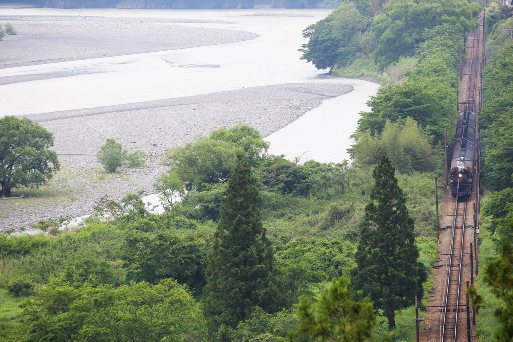 大井川の岸辺を走る