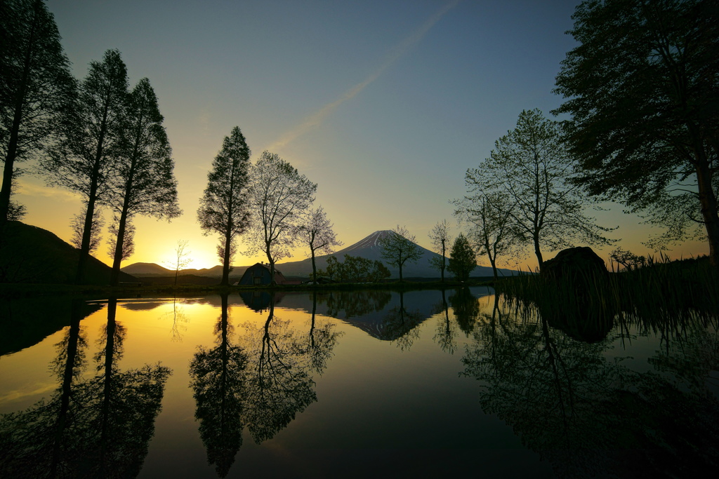 Parallel world in a small pond 　Ⅱ