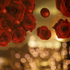Christmas roses for you!